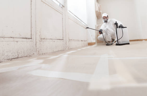 24/7 Emergency Attic Mold Removal experts in Fairfield, TX
