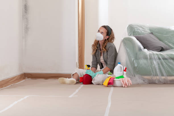 Reliable Mold Cleanup contractor in Fairfield, TX by Cheap Mold Removal