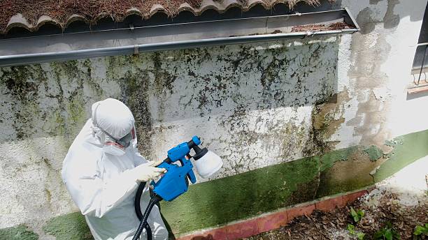 Trusted Mold Testing service in Fairfield, TX - Cheap Mold Removal